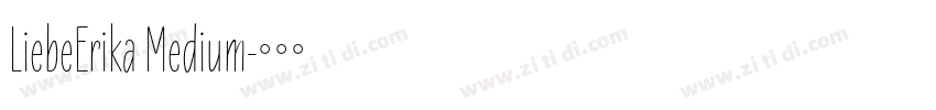 LiebeErika Medium字体转换